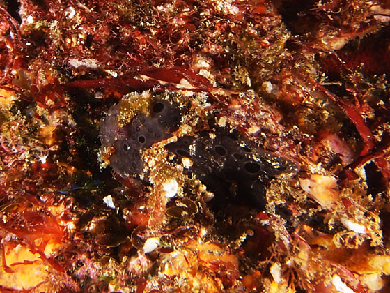 PC230062.jpg - OLYMPUS DIGITAL CAMERA