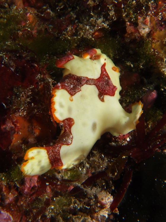 PC230085.jpg - OLYMPUS DIGITAL CAMERA