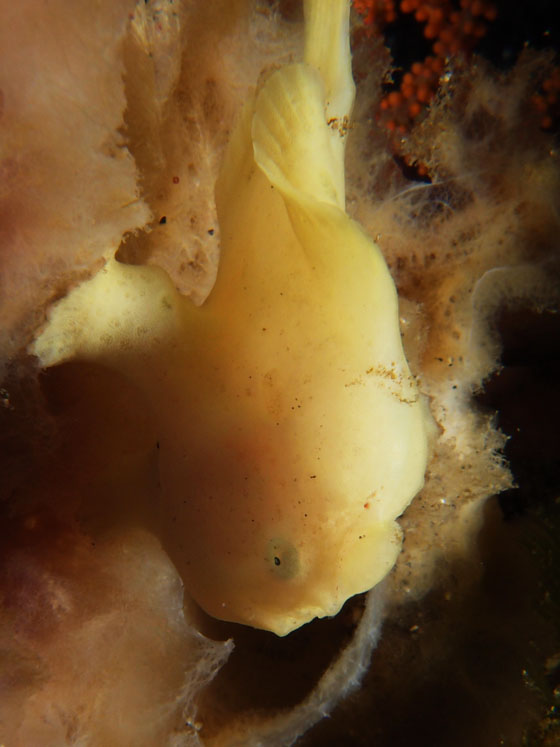 PC230095.jpg - OLYMPUS DIGITAL CAMERA