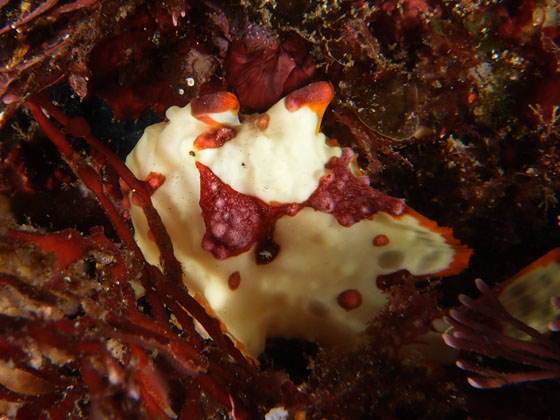 PC230107.jpg - OLYMPUS DIGITAL CAMERA