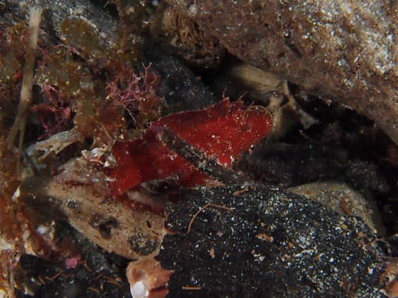 P1010121.jpg - OLYMPUS DIGITAL CAMERA