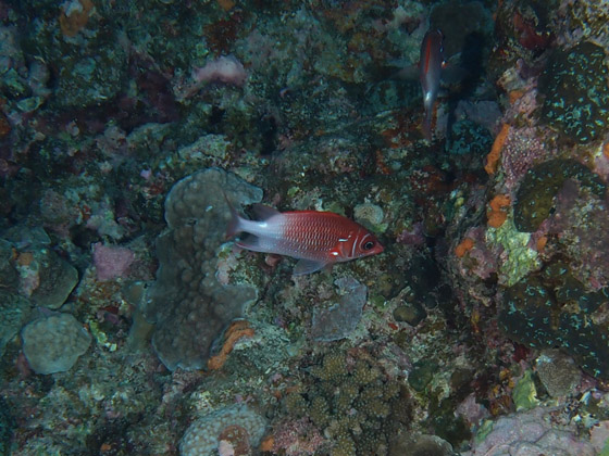 PC310061.jpg - OLYMPUS DIGITAL CAMERA