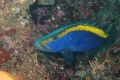 P9110083